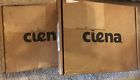 Ntk505yae5 Ciena Communications Lot Of Faceplate Interface Blank