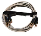 PJ772 Dual Bantam Patch Cable Cord 6FT Preowned. Fixed Price $23.47.