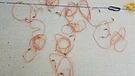 Allen Tel GBST2-D2-01 Fiber Optic Cable, To St, Duplex Multimode. Fixed Price $10.00.